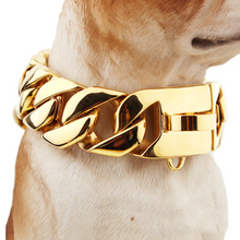 Load image into Gallery viewer, W&amp;G Gold Dog  Collar