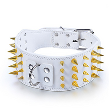 Load image into Gallery viewer, Gold Large Dog Collar