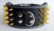 Load image into Gallery viewer, Gold Large Dog Collar
