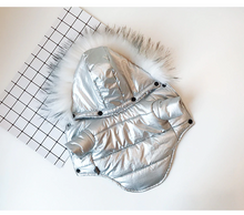 Load image into Gallery viewer, FLOY Winter Dog jacket