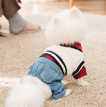 Load image into Gallery viewer, Dog Costume Plaid Shirts jean