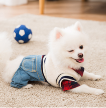 Load image into Gallery viewer, Dog Costume Plaid Shirts jean