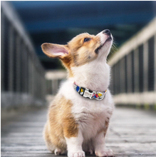 Load image into Gallery viewer, Dog Collar Personalized Nylon