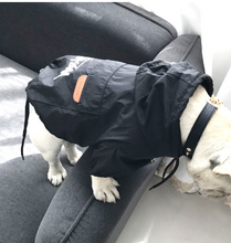 Load image into Gallery viewer, LILO Dog Clothes 2019