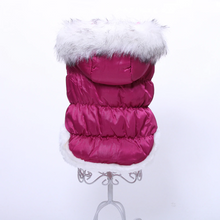 Load image into Gallery viewer, PLIU Winter Dog Jacket