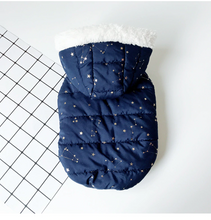 Load image into Gallery viewer, New 2019 Dog jacket