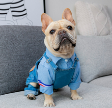 Load image into Gallery viewer, NABI Dogs jean clothes