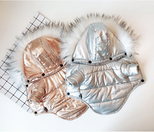 Load image into Gallery viewer, FLOY Winter Dog jacket