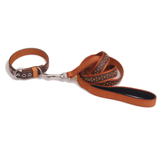 Load image into Gallery viewer, For Pet Lead Small Pet Dog Collar