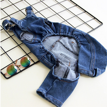 Load image into Gallery viewer, Frehcn Bulldog Clothes jean