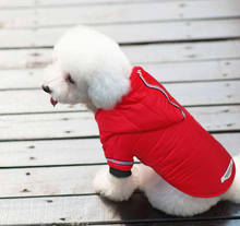 Load image into Gallery viewer, KEYYS Dog Jacket for Winter