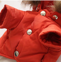 Load image into Gallery viewer, Padded Dog  Winter Jacket