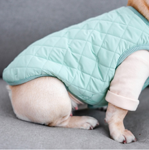 Load image into Gallery viewer, Winter Pet Dog Vest Jacket