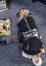 Load image into Gallery viewer, Labrador large dog clothes winter