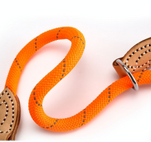 Load image into Gallery viewer, Cute Pet Dog Collar High Quality