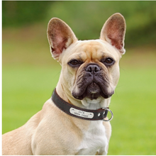 Load image into Gallery viewer, Customized Dog Collars Genuine