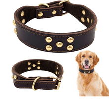 Load image into Gallery viewer, Genuine Leather Dog Collar