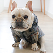 Load image into Gallery viewer, BILO Dog Raincoat