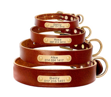 Load image into Gallery viewer, STYL New dogs collar