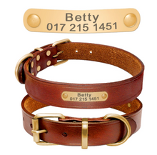 Load image into Gallery viewer, STYL New dogs collar