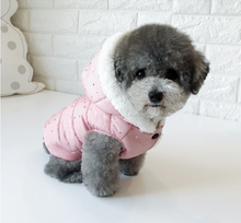 Load image into Gallery viewer, New 2019 Dog jacket