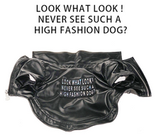 Load image into Gallery viewer, Cool Looking Dog Jacket