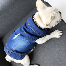 Load image into Gallery viewer, ARTY Dogs jean jacket 2019