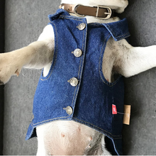 Load image into Gallery viewer, ARTY Dogs jean jacket 2019