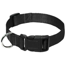 Load image into Gallery viewer, Nylon Webbing Dog Collar