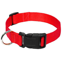 Load image into Gallery viewer, Nylon Webbing Dog Collar