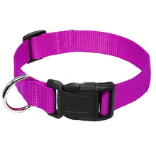 Load image into Gallery viewer, Nylon Webbing Dog Collar