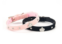 Load image into Gallery viewer, POPO Dog Collar