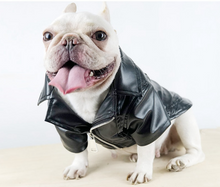Load image into Gallery viewer, Cool Looking Dog Jacket