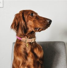 Load image into Gallery viewer, Personalized Dog Collar PU Leather Collars